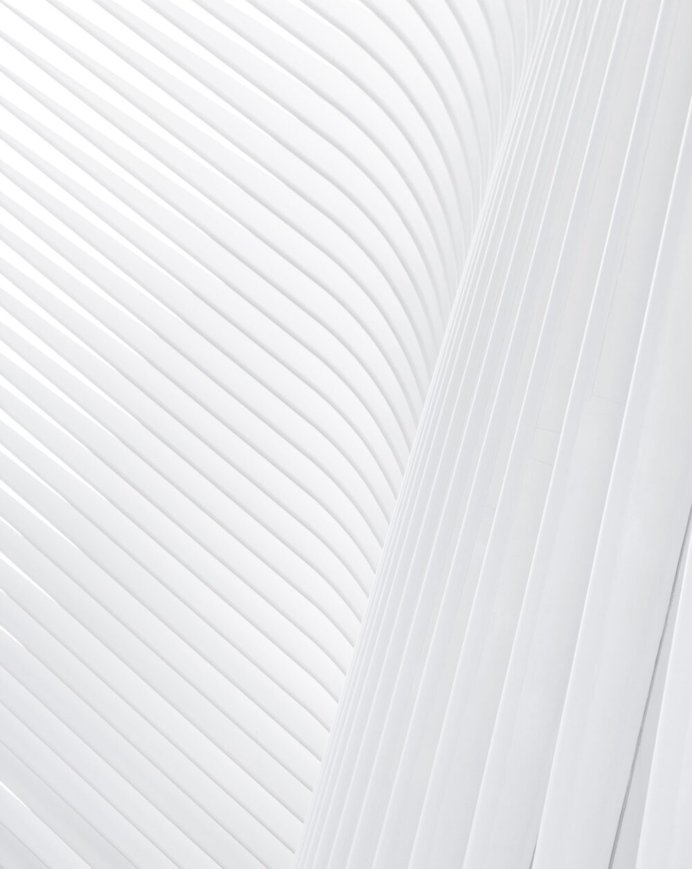 christian-perner-UKLIuV8rAks-unsplash