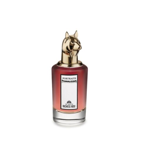 duchesse-rose