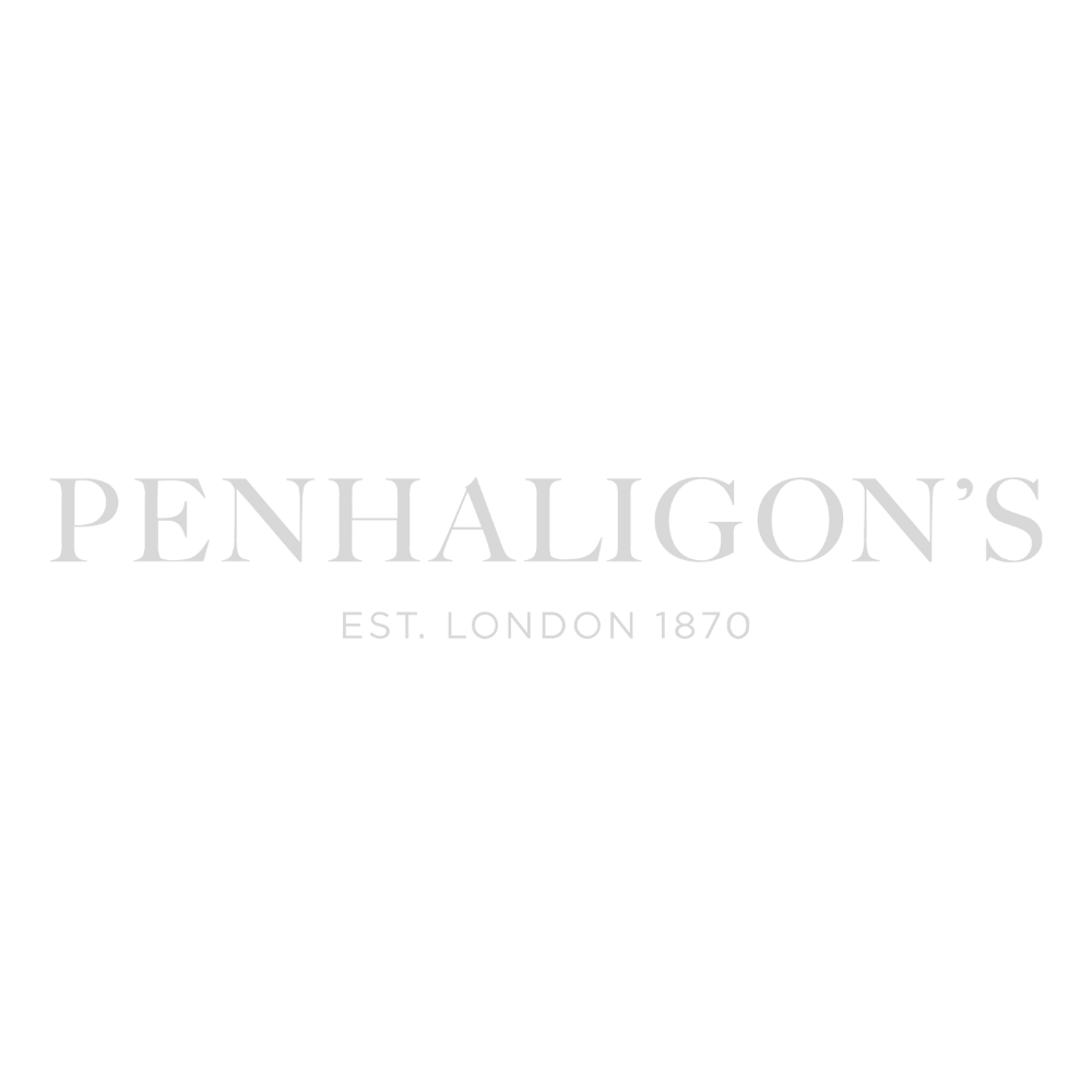 penalighons-logo
