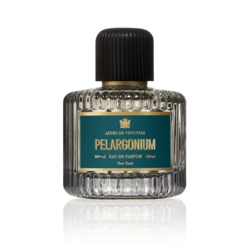 Pelargonium_Aedes_de_Venustas