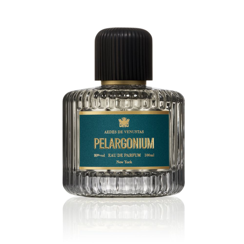 Pelargonium_Aedes_de_Venustas