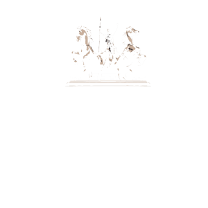 LOGO-BOADICEA