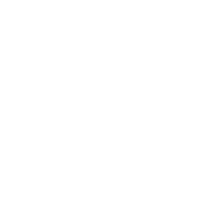 logo-byron